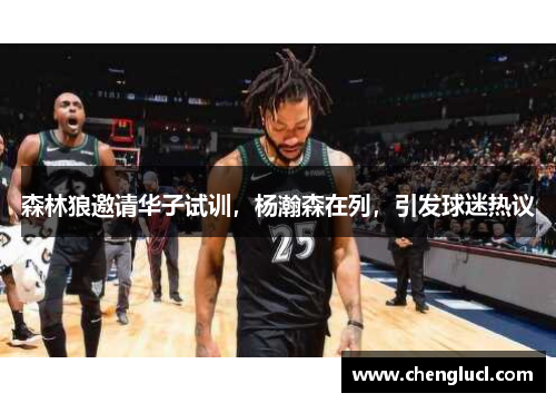 森林狼邀请华子试训，杨瀚森在列，引发球迷热议
